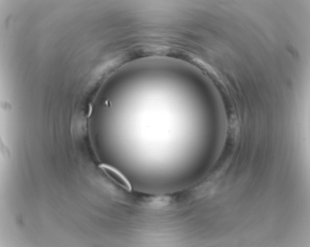 X0000091170474200708091207