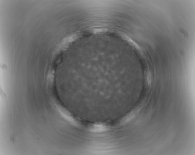 X0000091170475200708091207