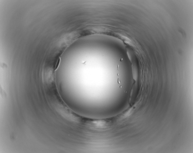 X0000091170478200708091207