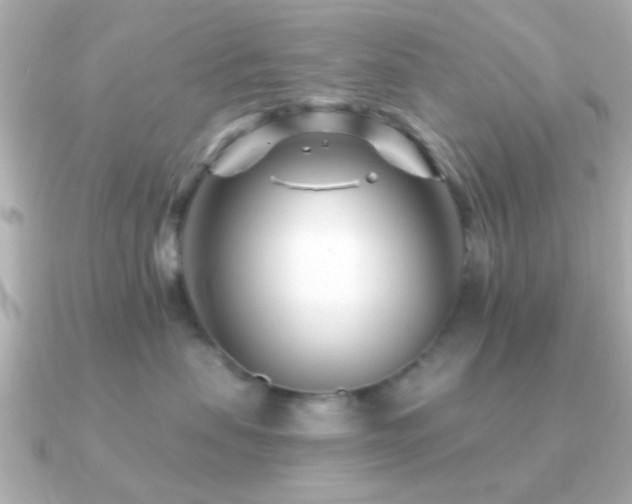 X0000091170479200708091207