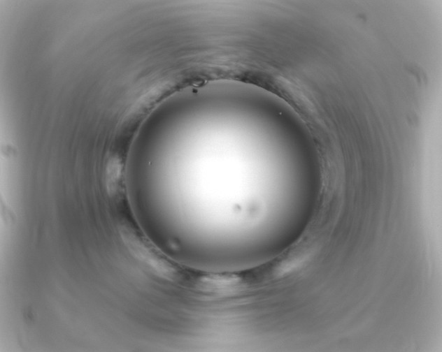 X0000091170480200708091207