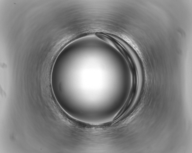 X0000091170481200708091207