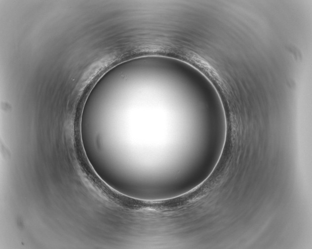 X0000091170482200708091207