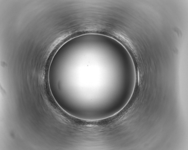 X0000091170483200708091207