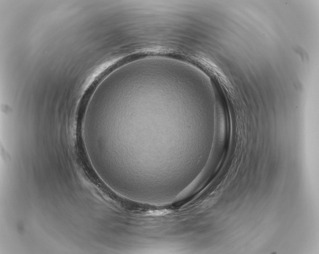 X0000091170484200708091207