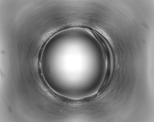 X0000091170485200708091207