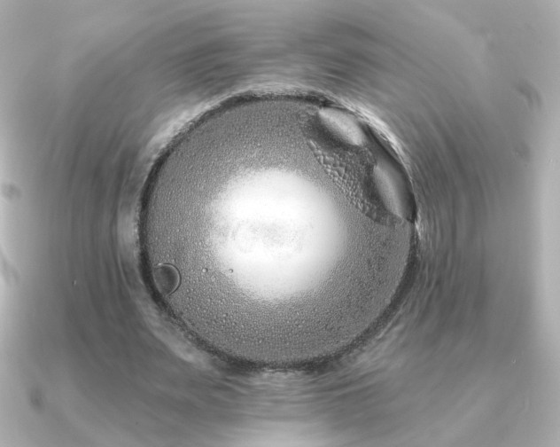 X0000091170487200708091207