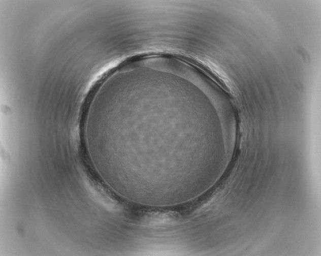 X0000091170488200708091207