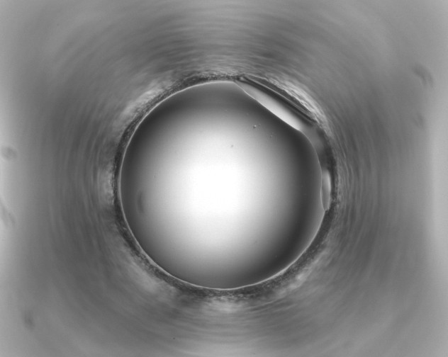 X0000091170489200708091207