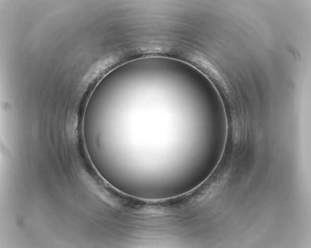 X0000091170490200708091207
