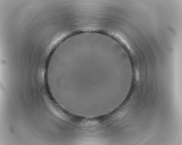 X0000091170491200708091207