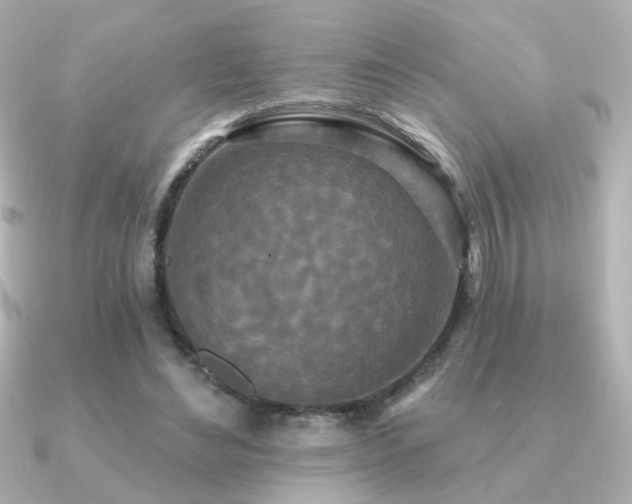 X0000091170492200708091207