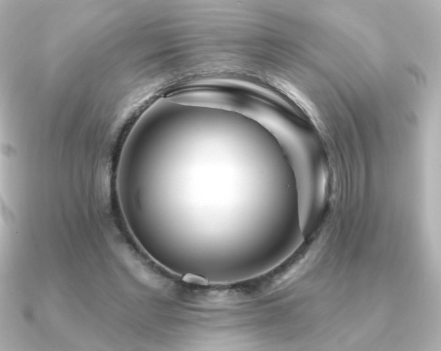 X0000091170493200708091207