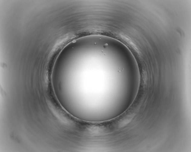 X0000091170494200708091207