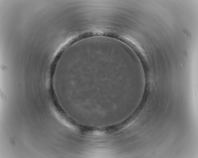 X0000091170496200708091207