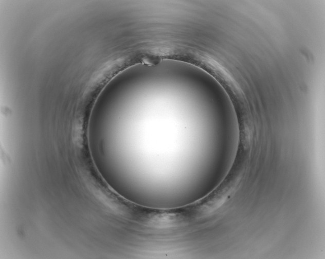 X0000091170497200708091207
