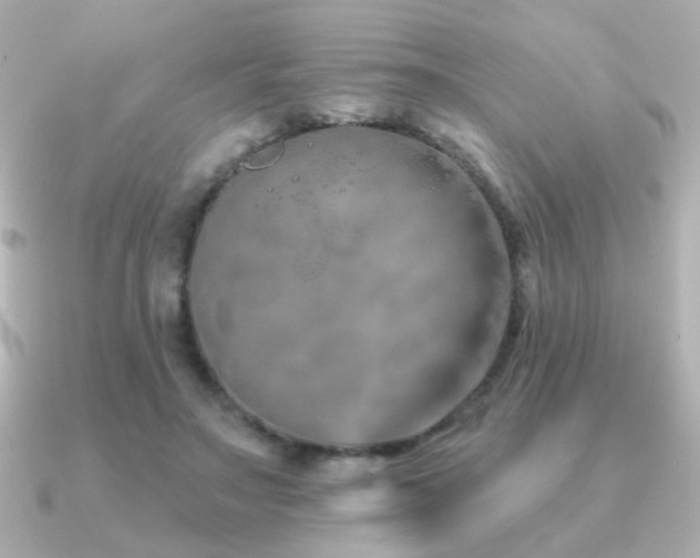 X0000091170499200708091207