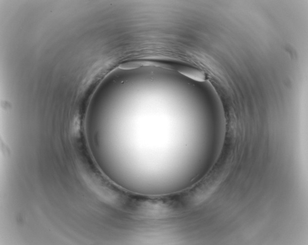 X0000091170502200708091207
