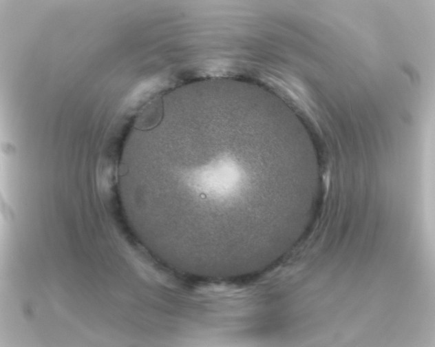 X0000091170503200708091207