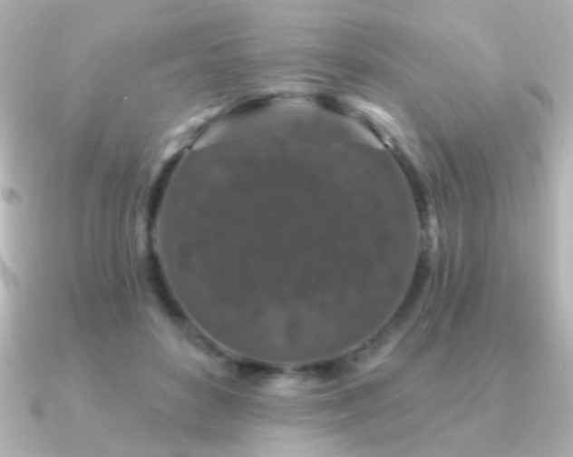 X0000091170504200708091207