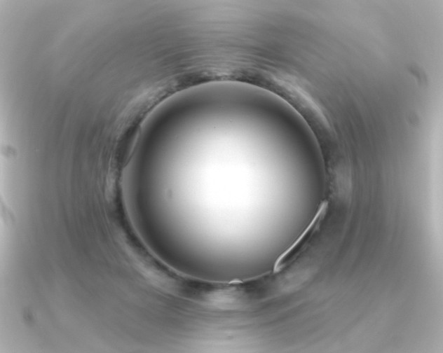X0000091170505200708091207