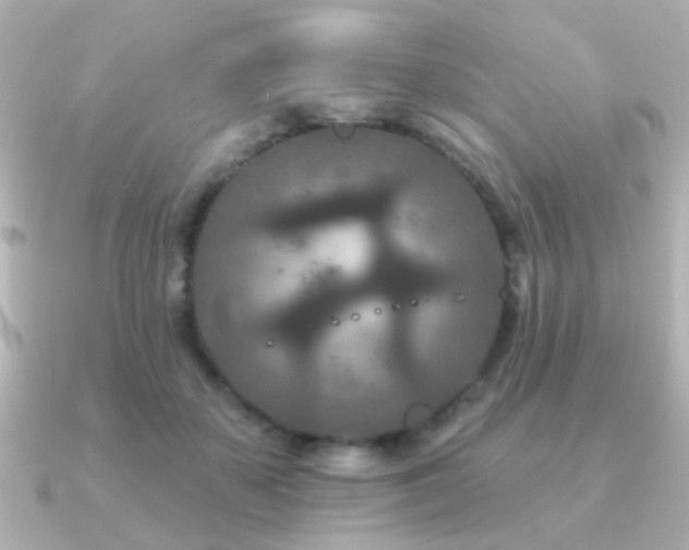 X0000091170507200708091207