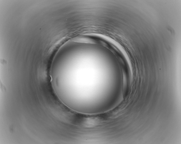 X0000091170508200708091207