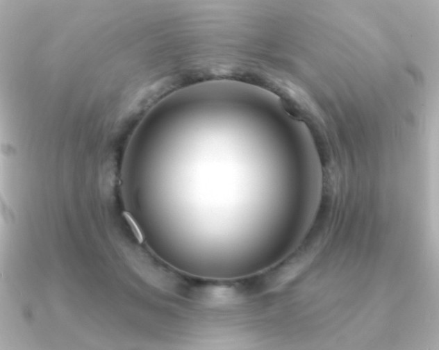 X0000091170509200708091207