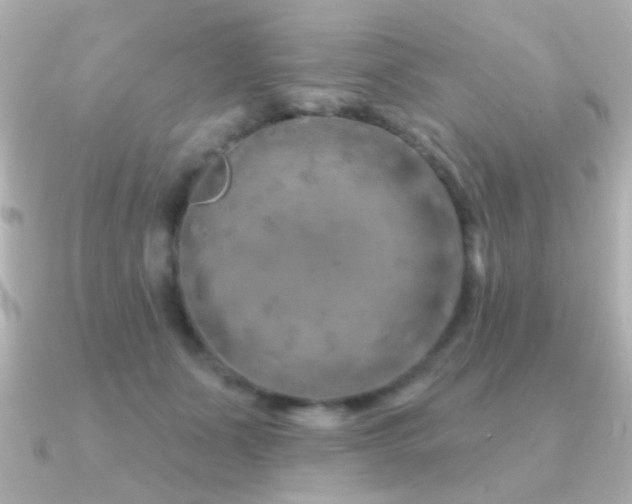 X0000091170511200708091207