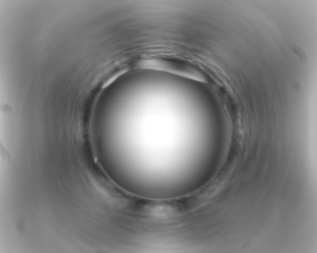 X0000091170512200708091207