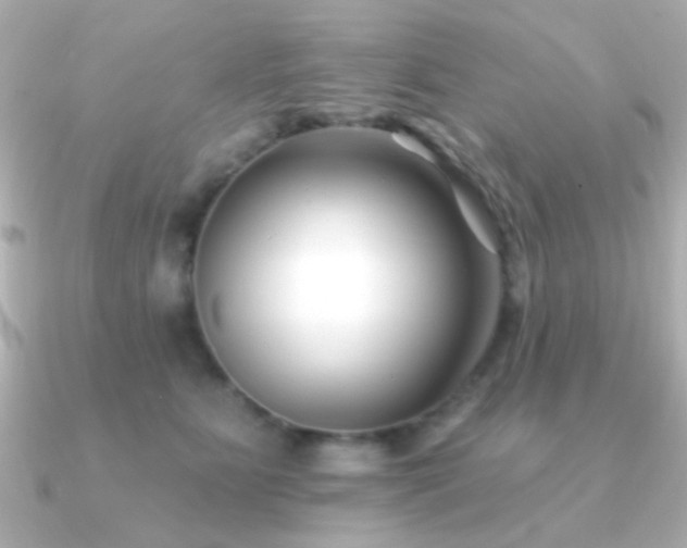 X0000091170515200708091206