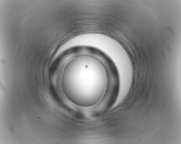 X0000091170516200708091206