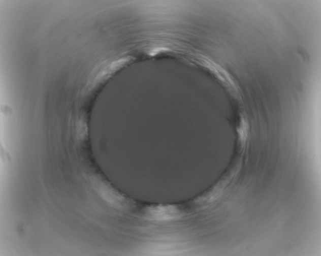 X0000091170517200708091206