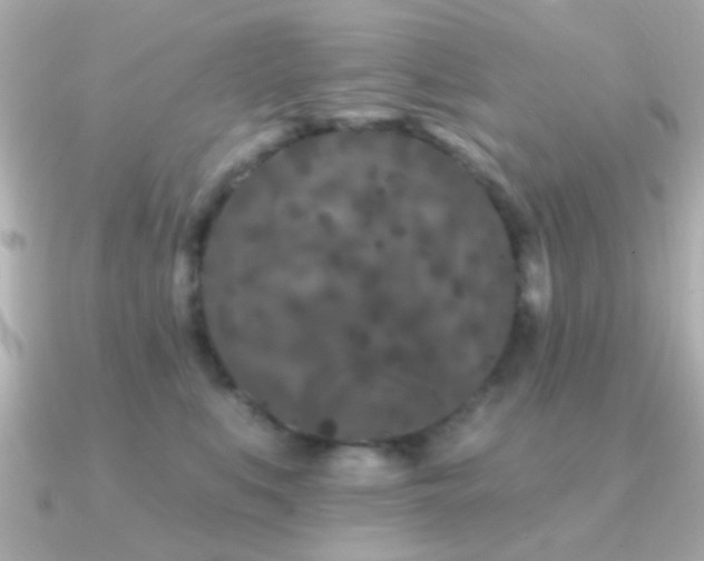 X0000091170519200708091206