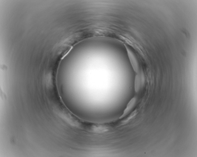 X0000091170520200708091206