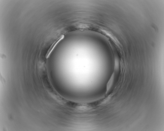X0000091170521200708091206