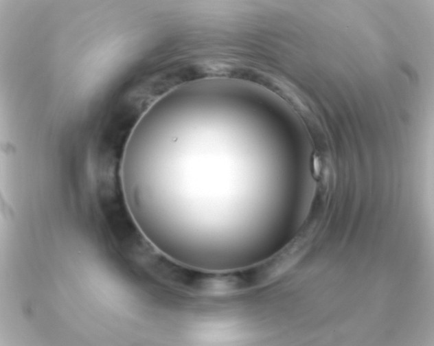 X0000091170525200708091206