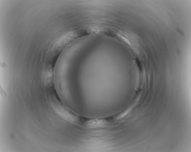 X0000091170526200708091206