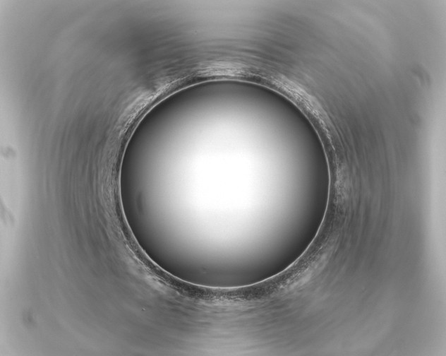 X0000091170529200708091206
