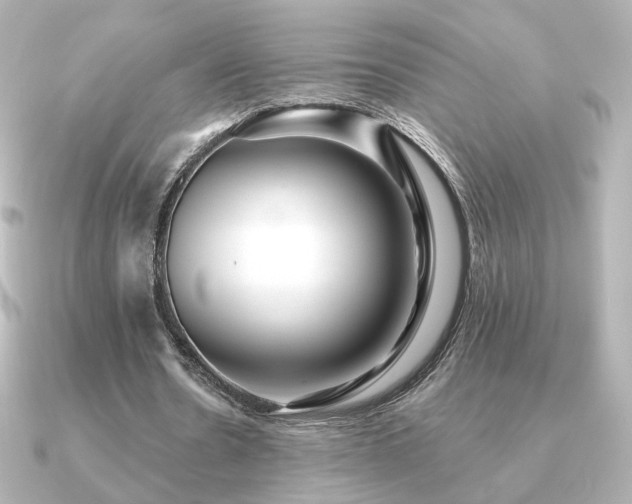 X0000091170530200708091206