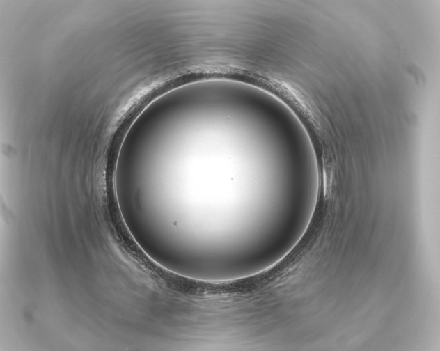 X0000091170531200708091206