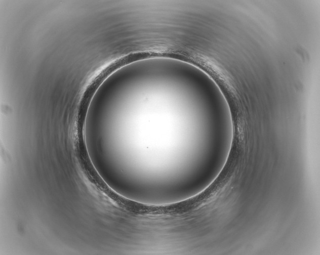 X0000091170532200708091206
