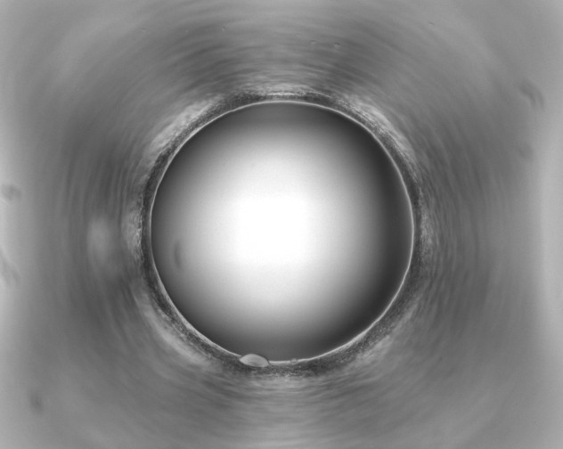 X0000091170533200708091206