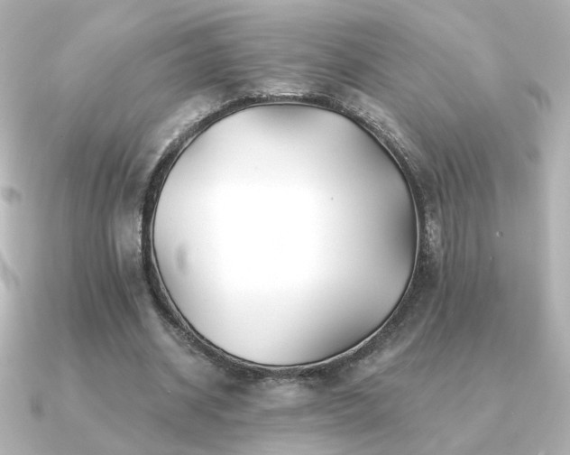 X0000091170534200708091206