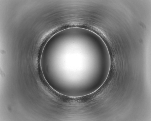 X0000091170535200708091206