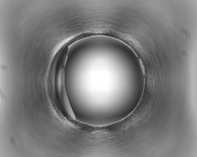 X0000091170536200708091206