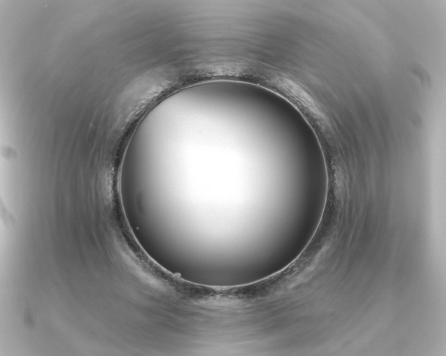 X0000091170537200708091206