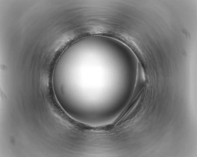 X0000091170539200708091206