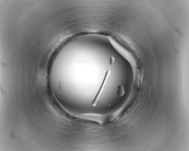 X0000091170540200708091206