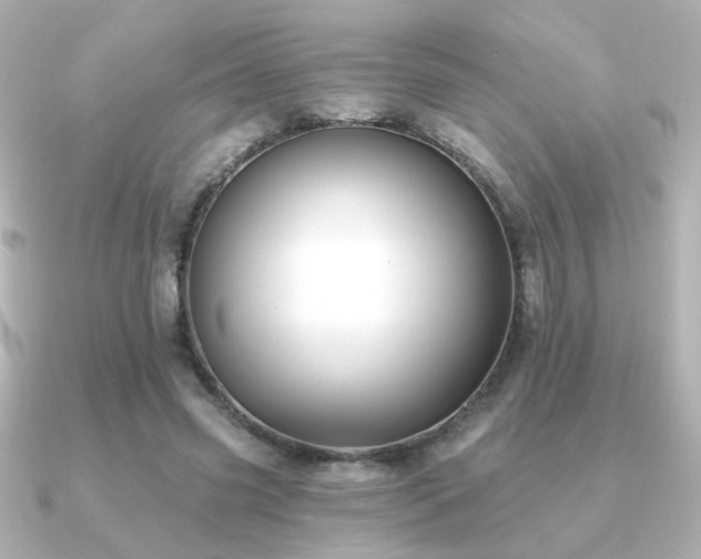 X0000091170541200708091206